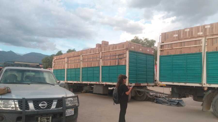 En Cochabamba comisan cigarrillos paraguayos de contrabando valuados en Bs 4,5 millones