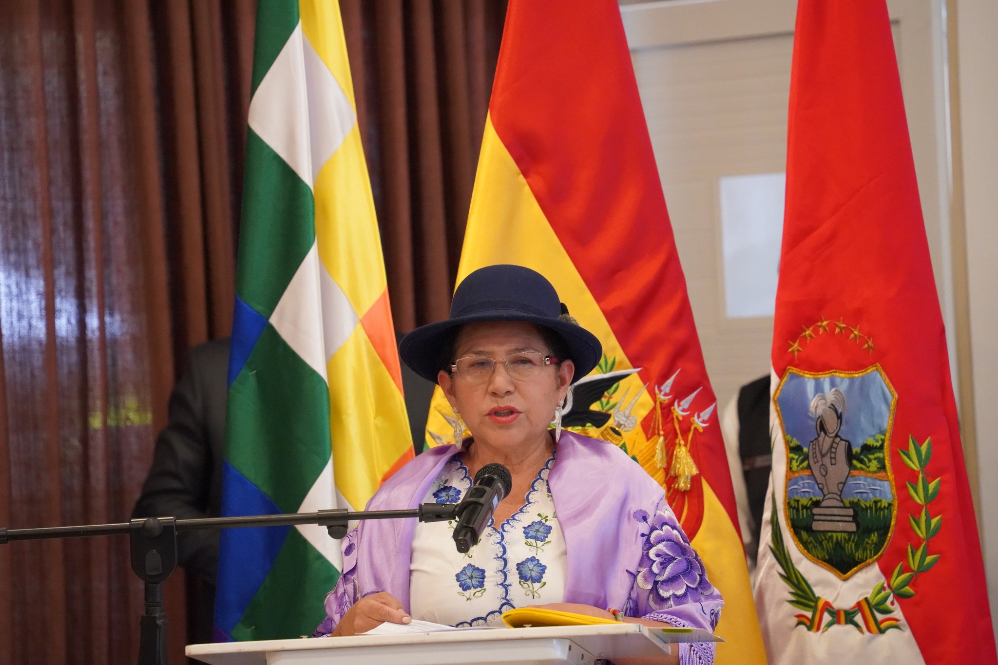 Canciller: CIDH reconoce que la Constitución de 2009 introdujo un amplio marco de derechos humanos