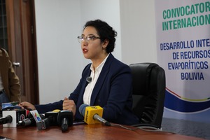 Empresas que vengan a desarrollar los recursos evaporíticos lo harán a riesgo propio, sin inversión del Estado