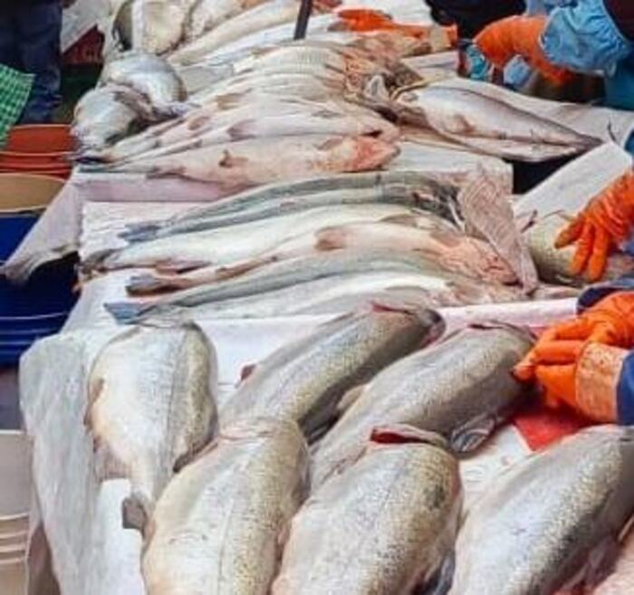 Comisan 1.500 kilos de pescado y mariscos en mal estado y de contrabando