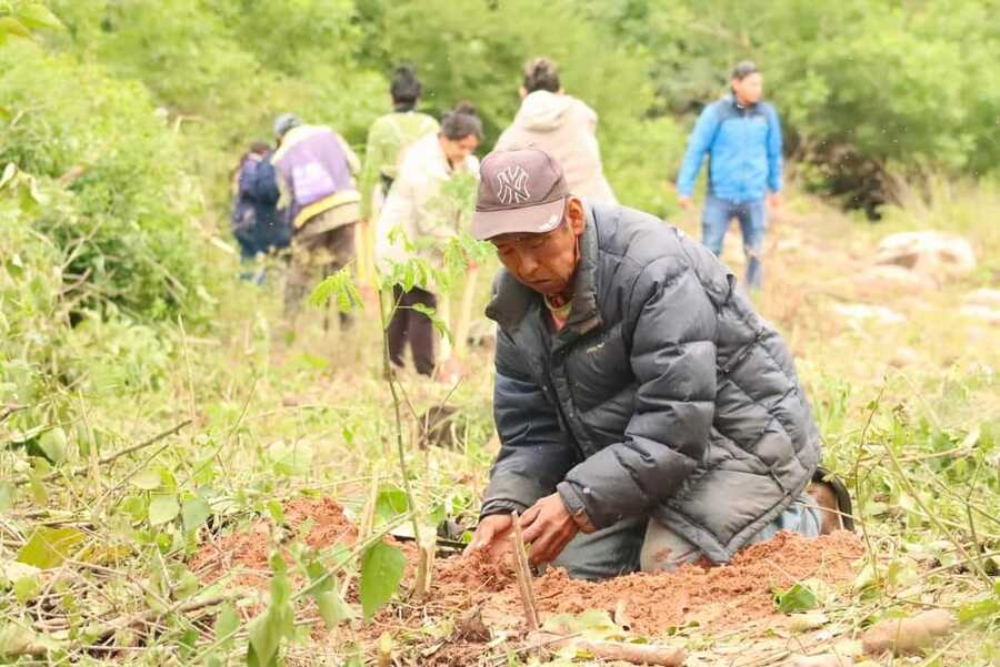 Villa Montes inicia reforestación con especies nativas para incrementar cobertura boscosa