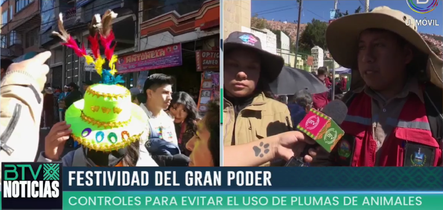 Decomisan plumas de suri y de killi killi en la entrada del Gran Poder, los infractores enfrentarán sanciones 