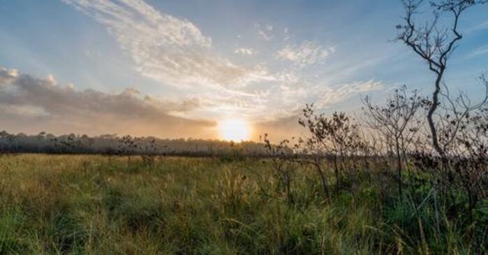 Equipos terrestres y aéreos trabajan para sofocar incendio en el Parque Madidi 