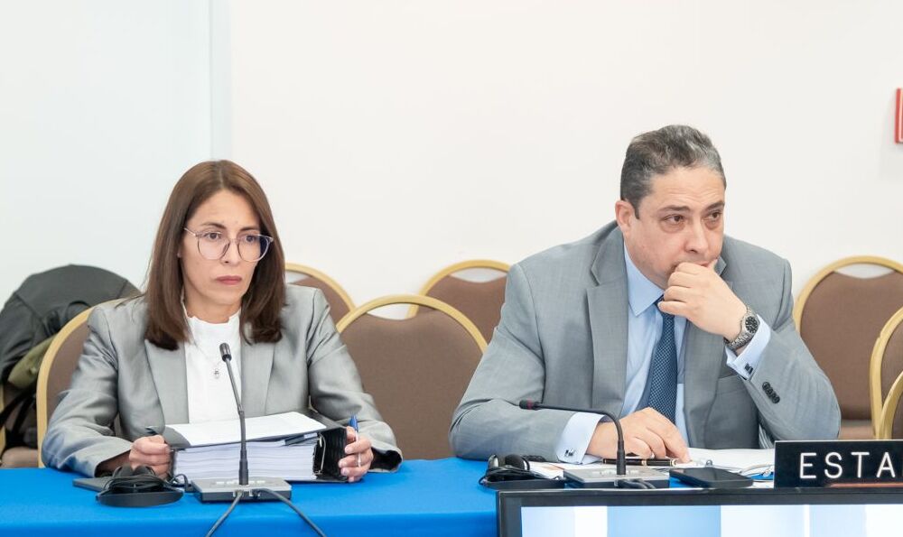 Bolivia denuncia en la CIDH que el TCP pone en riesgo futuras elecciones con el fallo contra las judiciales