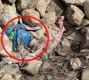 Rastrillajes en lugares de bloqueo en Parotani encuentran dinamitas, trampa explosiva y granadas de gas