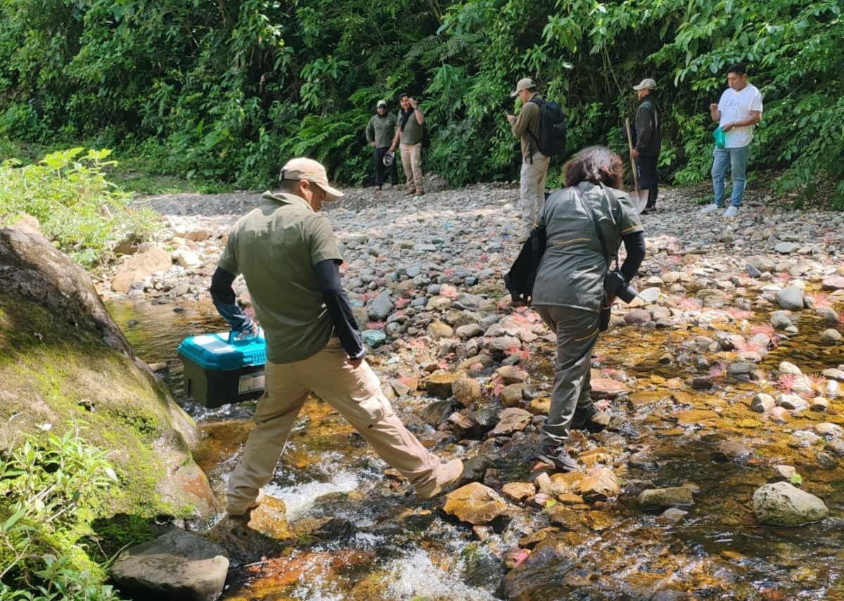 Intensifican rastrillajes y labores de inteligencia para capturar a implicados en asesinato múltiple de Pucamayu