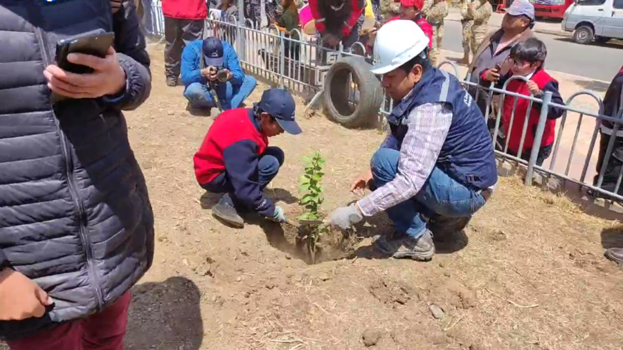 Inician campaña de forestación en El Alto por el Día Nacional del Árbol