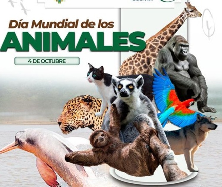 En el Dia Mundial de los Animales instan a protegerlos y cuidar su hábitat