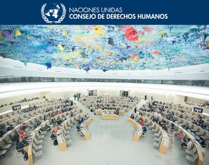 Bolivia es elegida miembro del Consejo de DDHH de Naciones Unidas