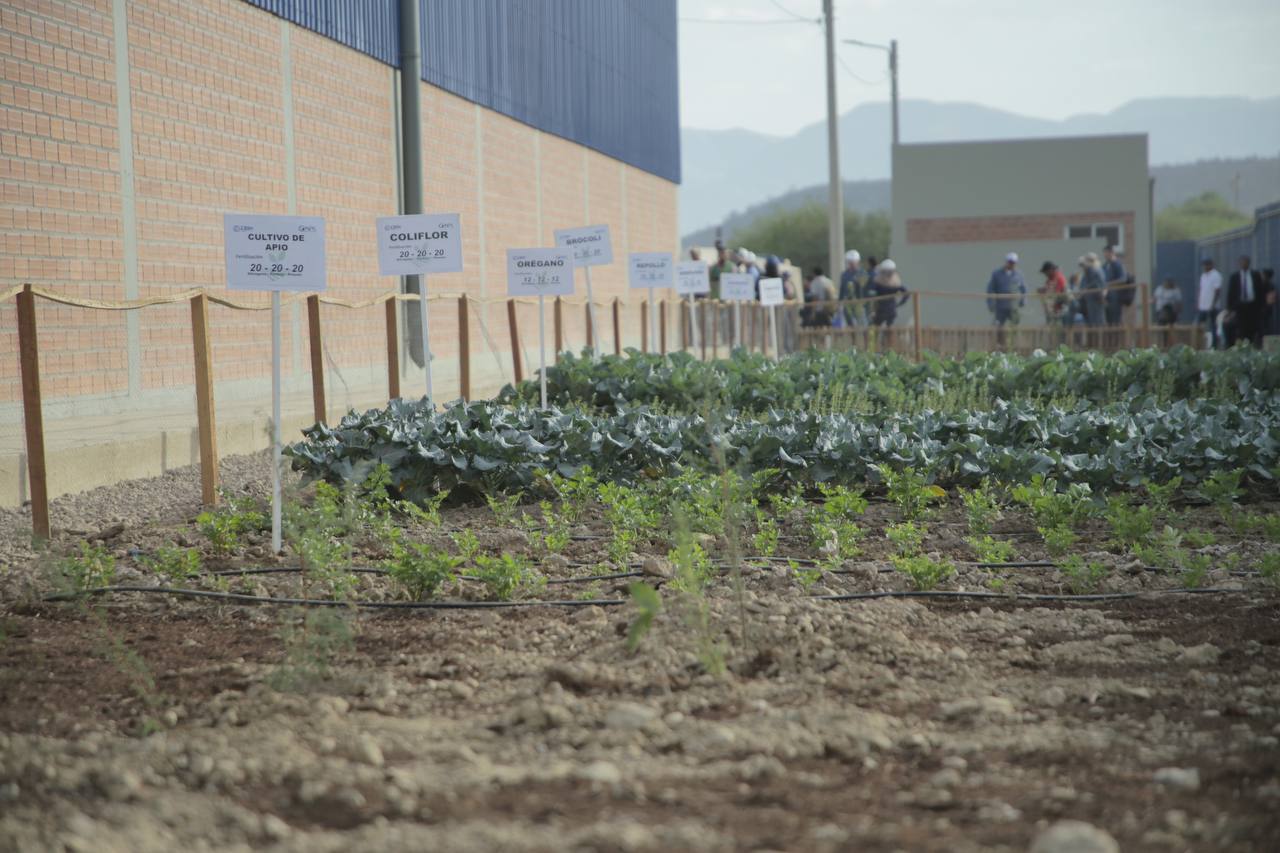 Firman convenio para proveer fertilizantes y mejorar la producción de hortalizas en Santa Cruz y Tarija
