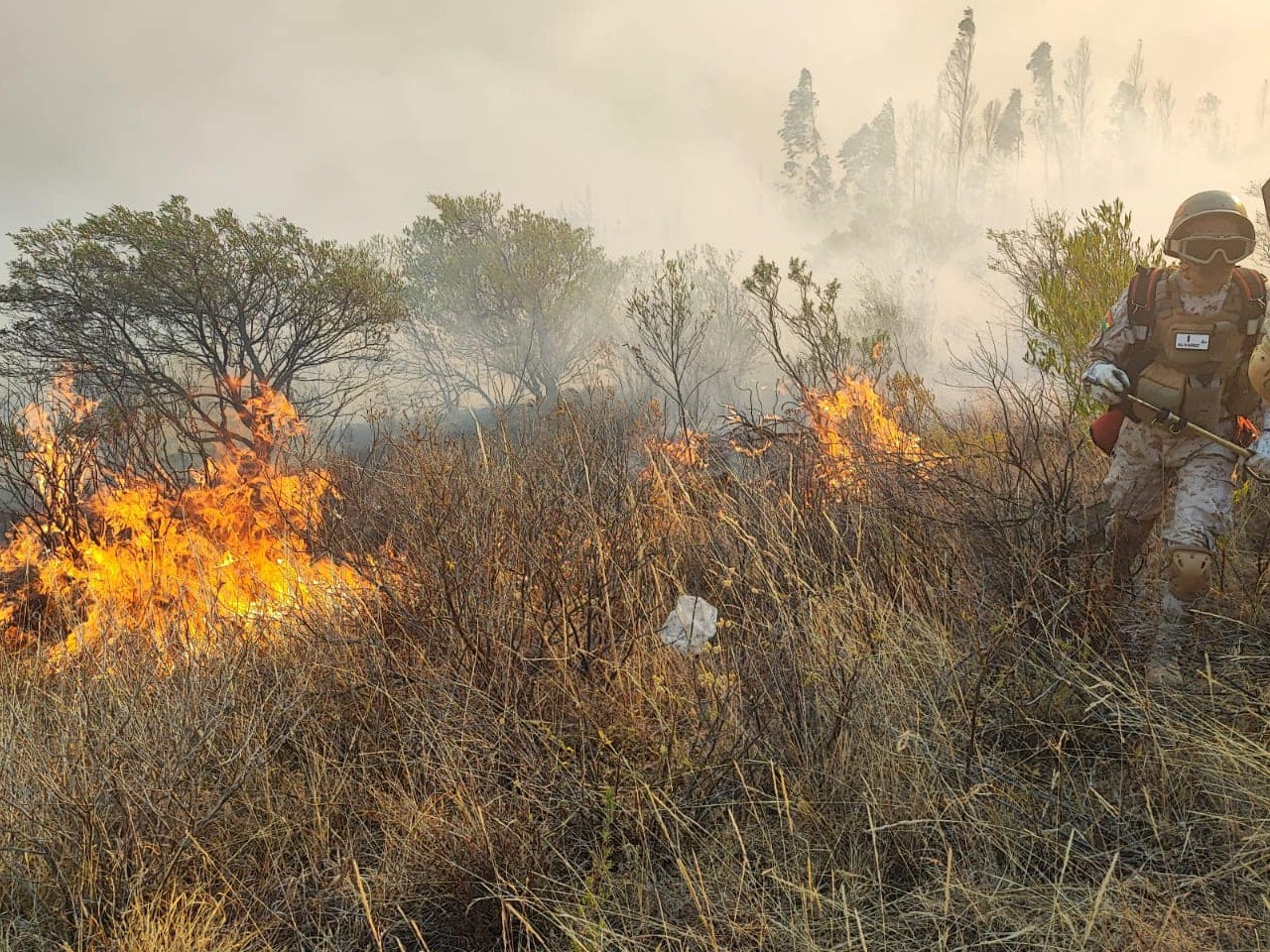 Arce instruye contratar aviones cisterna para reforzar lucha contra los incendios forestales