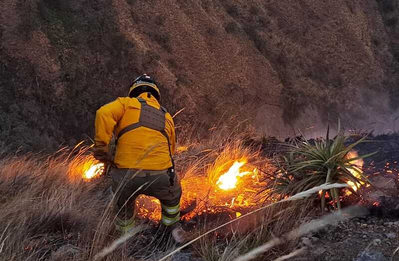 Piden a legisladores no obstaculizar proyecto normativo para endurecer sanciones por incendios