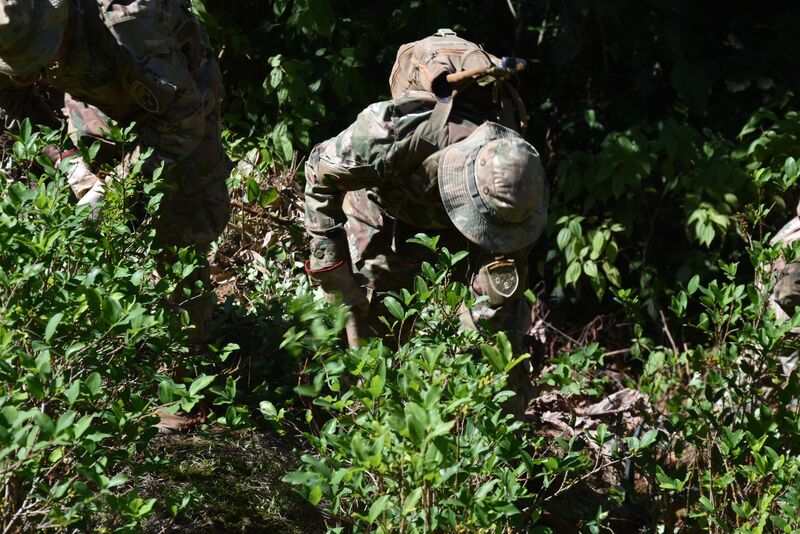 Fuerza de Tarea Conjunta erradicó más de 35.200 hectáreas de hoja de coca excedentaria en concertación