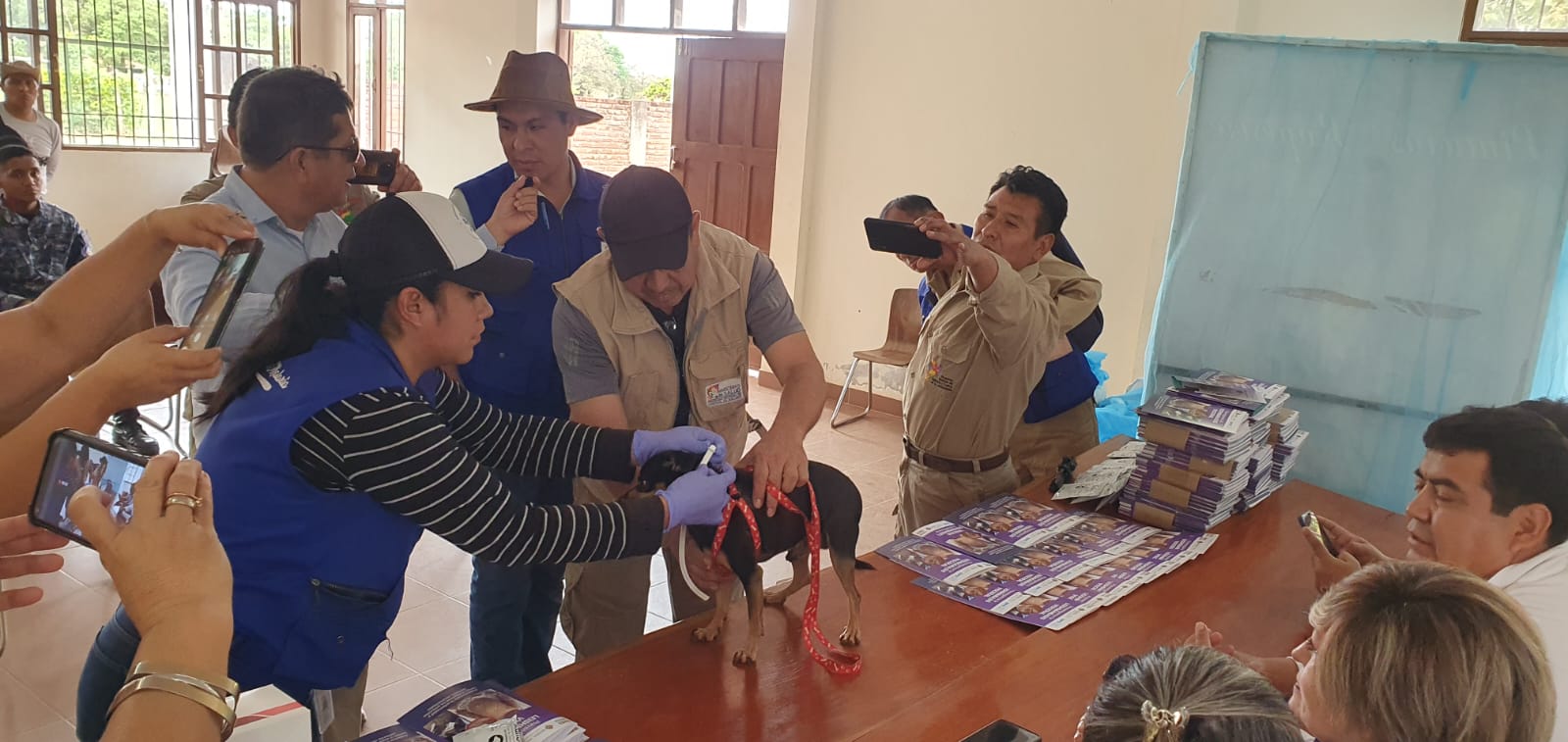 En Roboré colocan 2.357 collares con insecticida a canes y entregan 2.000 mosquiteros para prevenir la leishmaniasis visceral 