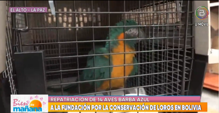 Repatrian a 14 parabas Barba Azul desde EEUU y las trasladan a un centro de custodia en Beni