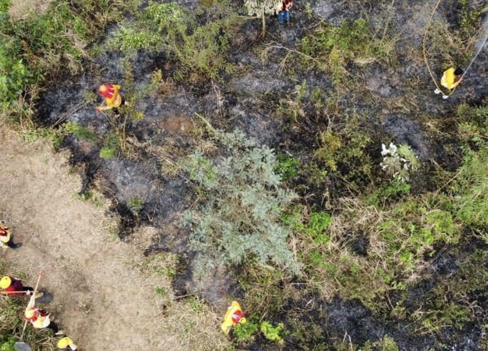 Reportan incendio forestal en el Parque Nacional Cotapata de La Paz, hay cuatro áreas protegidas afectadas