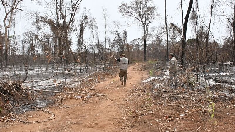Activan más de seis procesos administrativos por desmonte en la reserva Bajo Paraguá