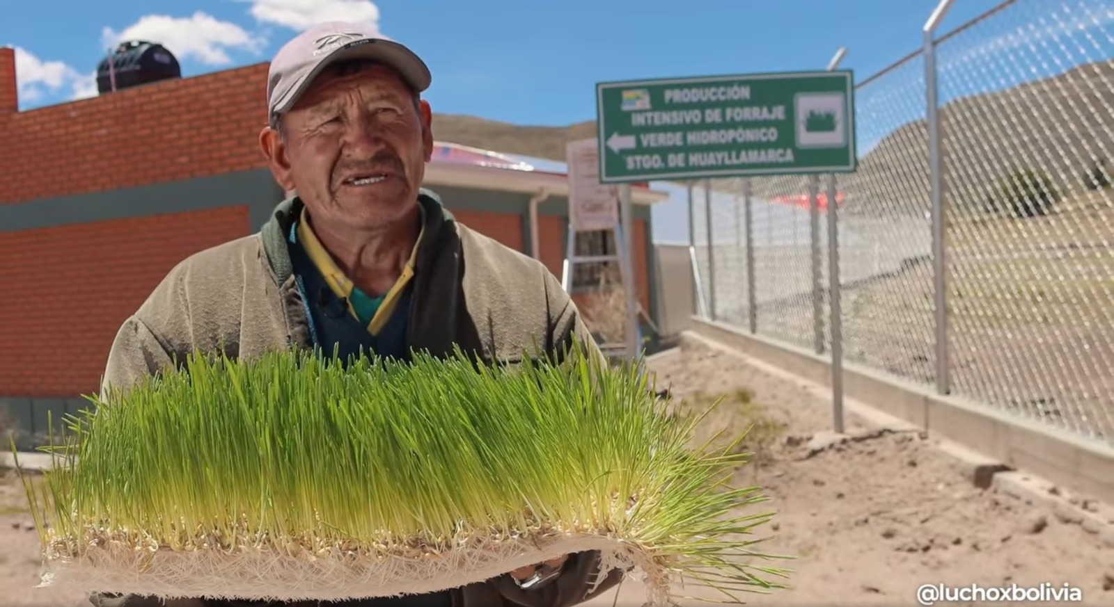 La nueva planta de producción de forraje verde hidropónico de Oruro producirá mil toneladas de pasto fresco por año. Captura: RRSS