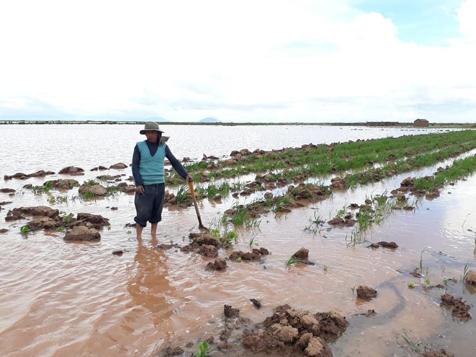 Zonas de cultivo afectadas por la crecida de los ríos en el altiplano. Foto: RRSS
