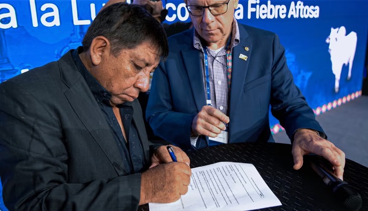 Bolivia recibirá certificación de país libre de fiebre aftosa sin vacunación y ampliará mercados para la carne de res