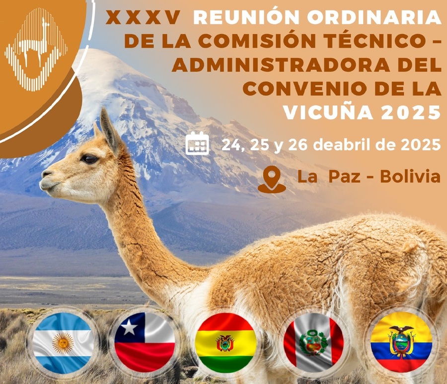 Argentina, Chile, Ecuador, Perú y Bolivia trabajarán en la conservación de la vicuña