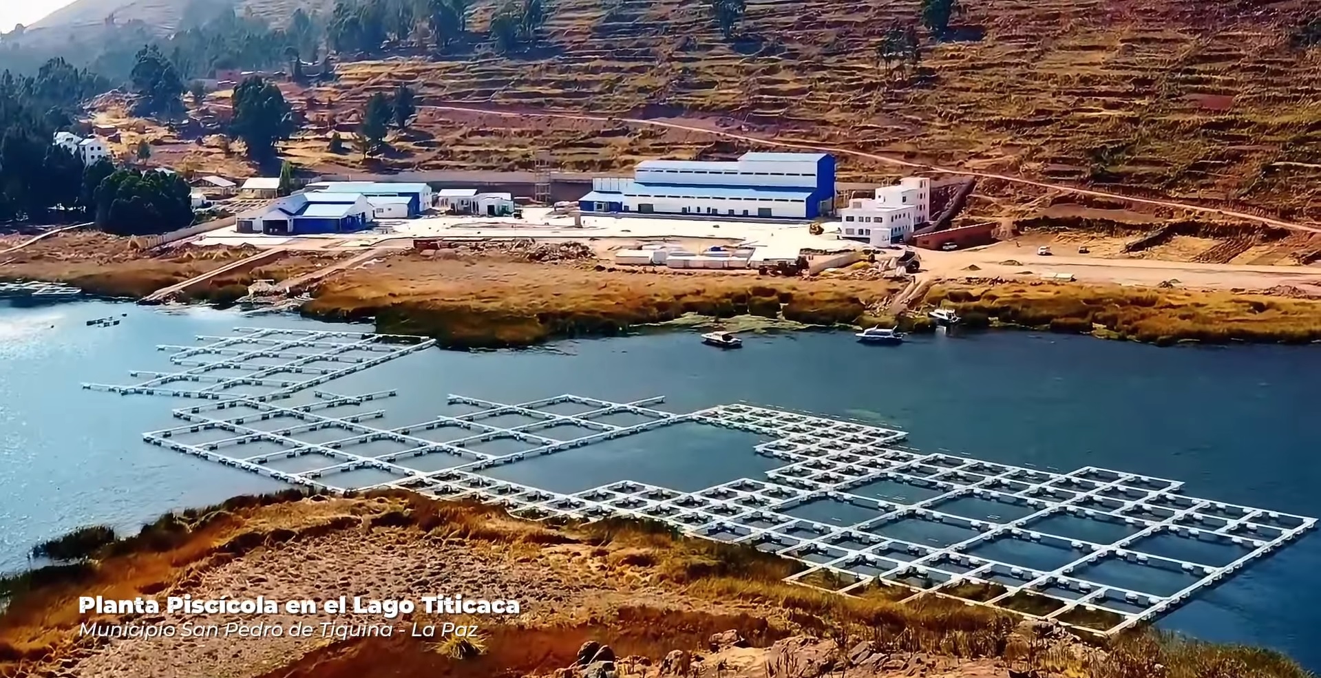 Emapa lanza convocatorias para construcción, equipamiento e instalación de industrias en La Paz, Tarija y Chuquisaca