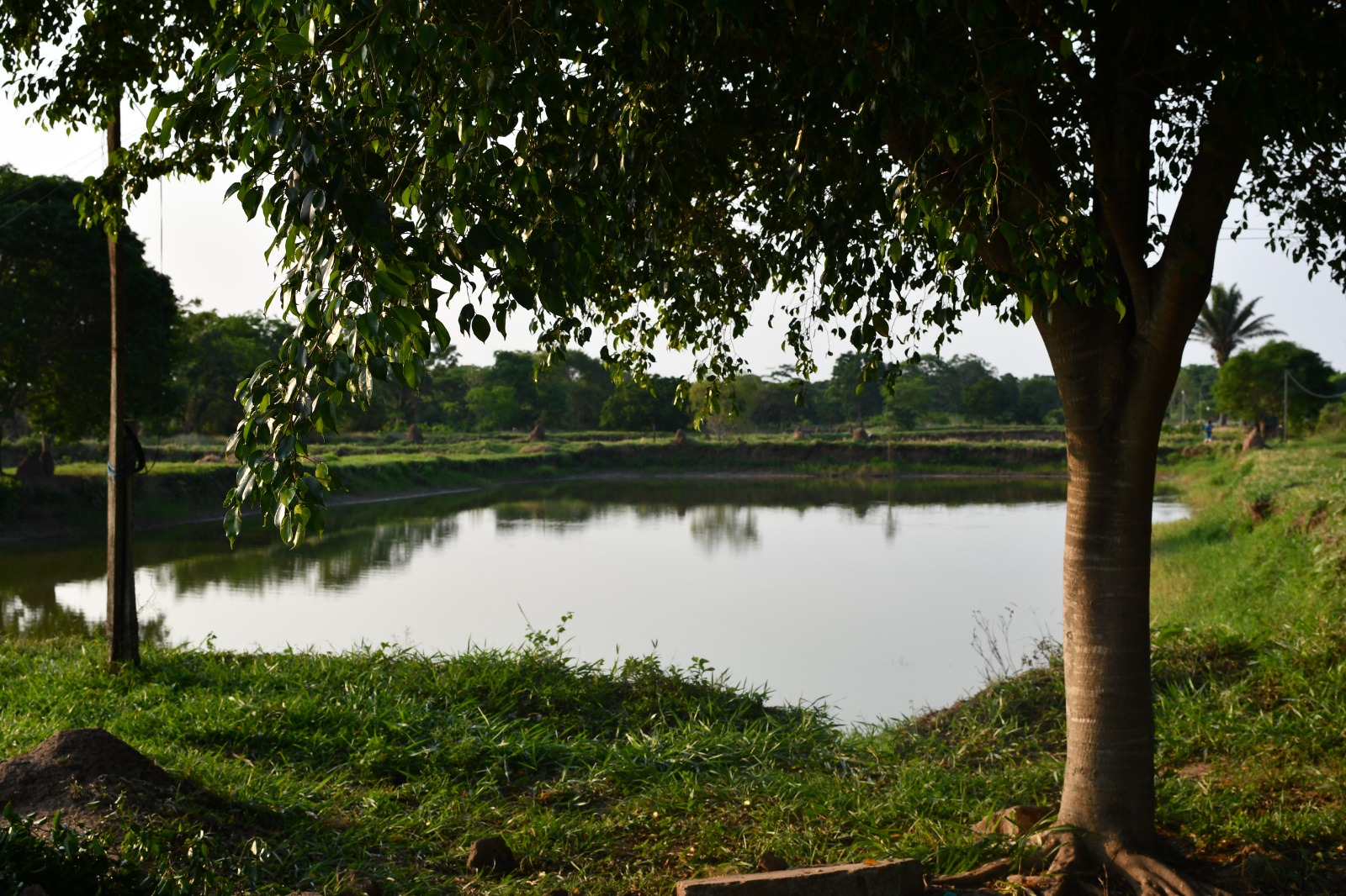 El BDP-SAM promueve las finanzas sostenibles y aporta al cuidado de la Madre Tierra