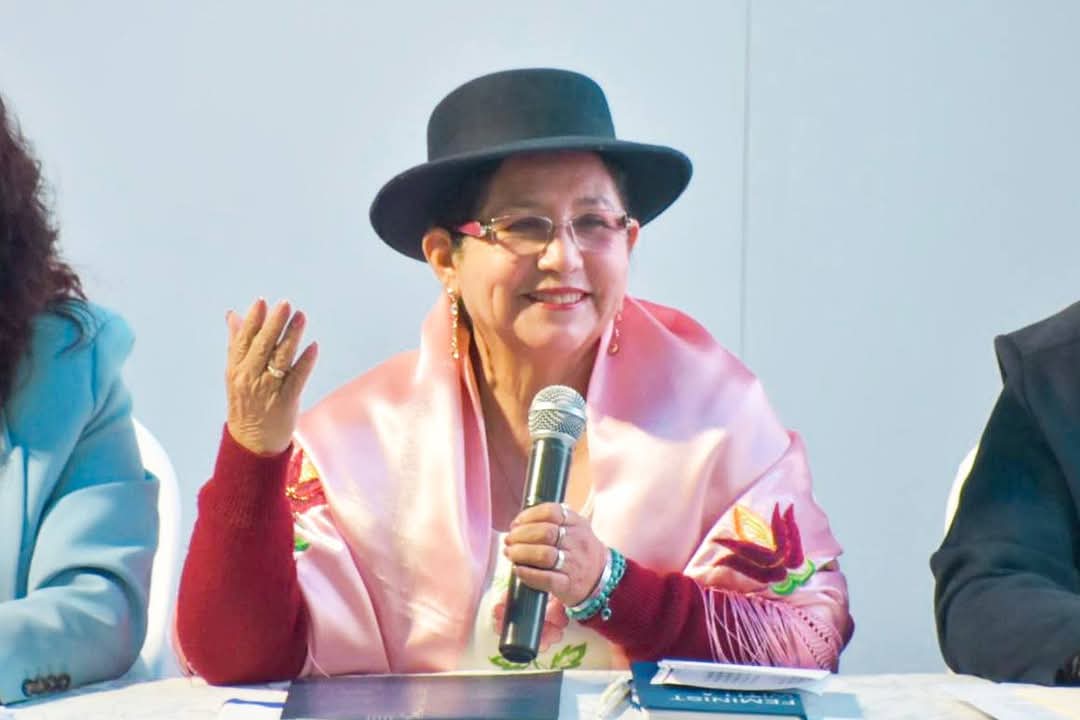 Ministra Sosa asistirá a reunión de cancilleres de los BRICS en Brasil