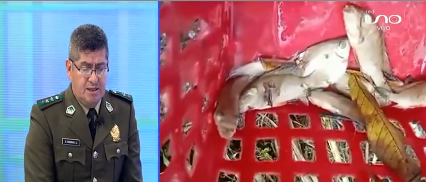 Pofoma detiene a peruanos que se dedicaban a tráfico de peces en Santa Rosa de Yacuma