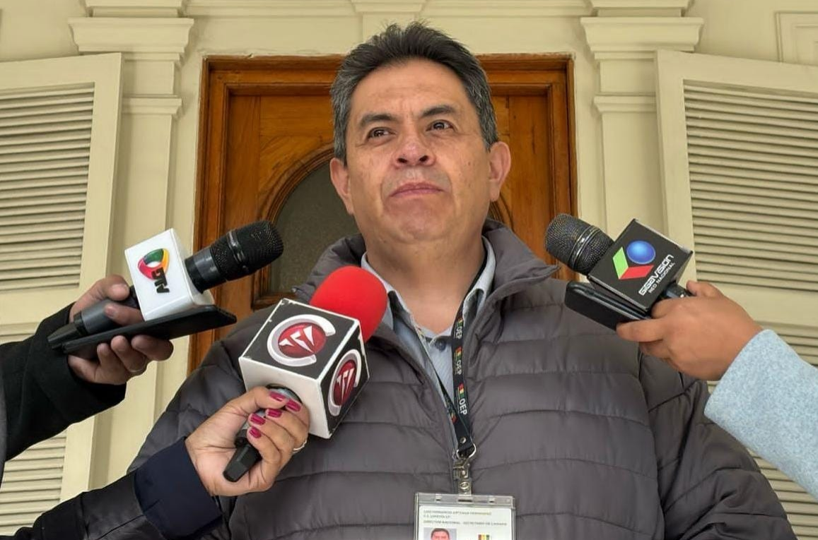 Secretario de Cámara del Tribunal Supremo Electoral, Fernando Arteaga. Foto: DTV