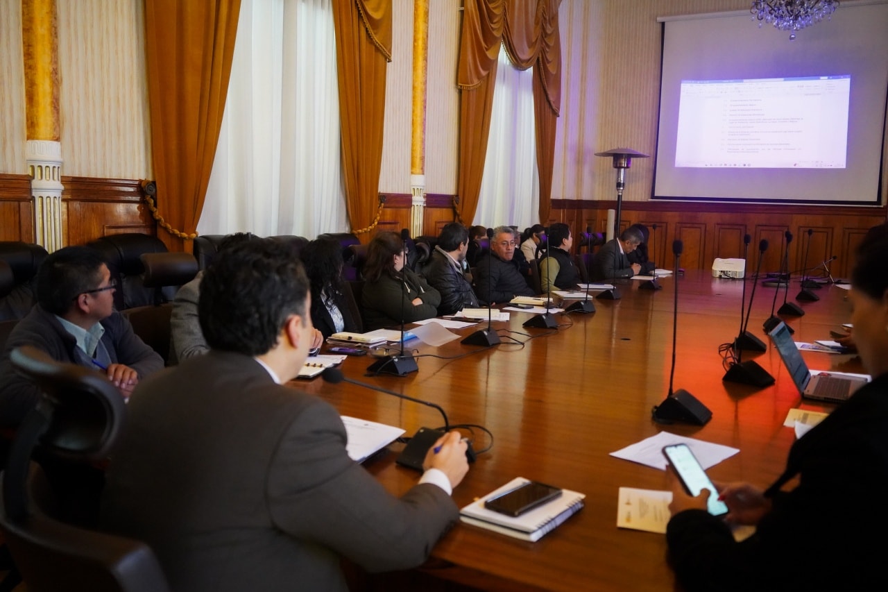 TSE y Cancillería ultiman detalles del voto de los bolivianos en el exterior
