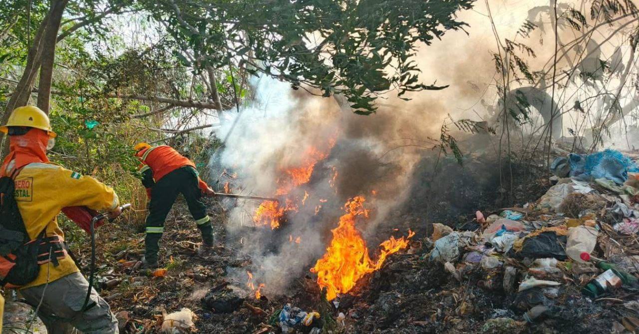 Defensa Civil reporta 39 incendios sofocados y más de 700 efectivos movilizados