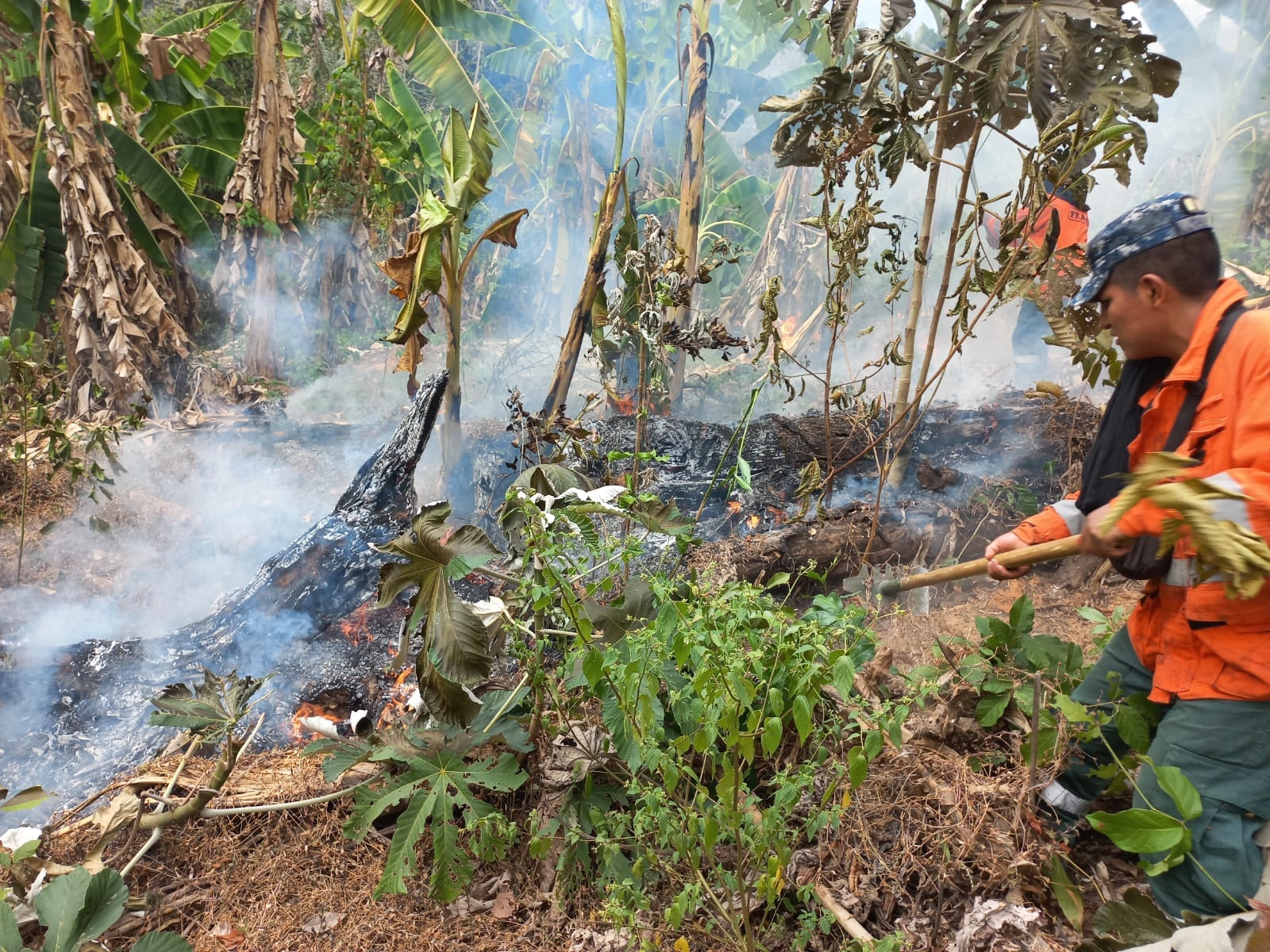 De 174 procesos por incendios forestales de 2024, solo 7 llegaron a sentencia y el resto quedó en nada