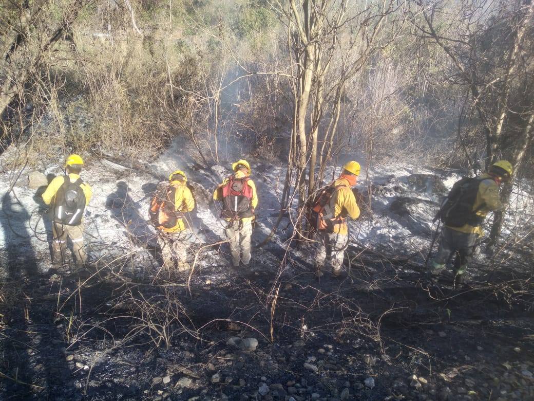 Controlan el 80% del incendio forestal que afecta al Parque Noel Kempff Mercado