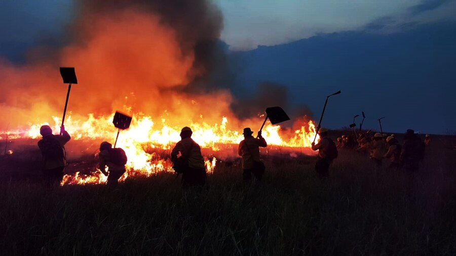 Presidente afirma que gran parte de incendios se dan en pastizales y en tierras de los grandes empresarios