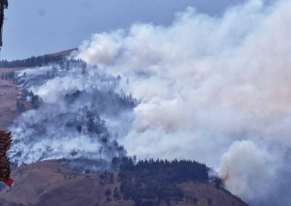 Decreto declara a Bolivia en situación de emergencia nacional por incendios forestales