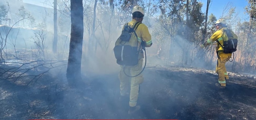 En una comunidad de Tarija se activa un incendio y bomberos logran controlarlo