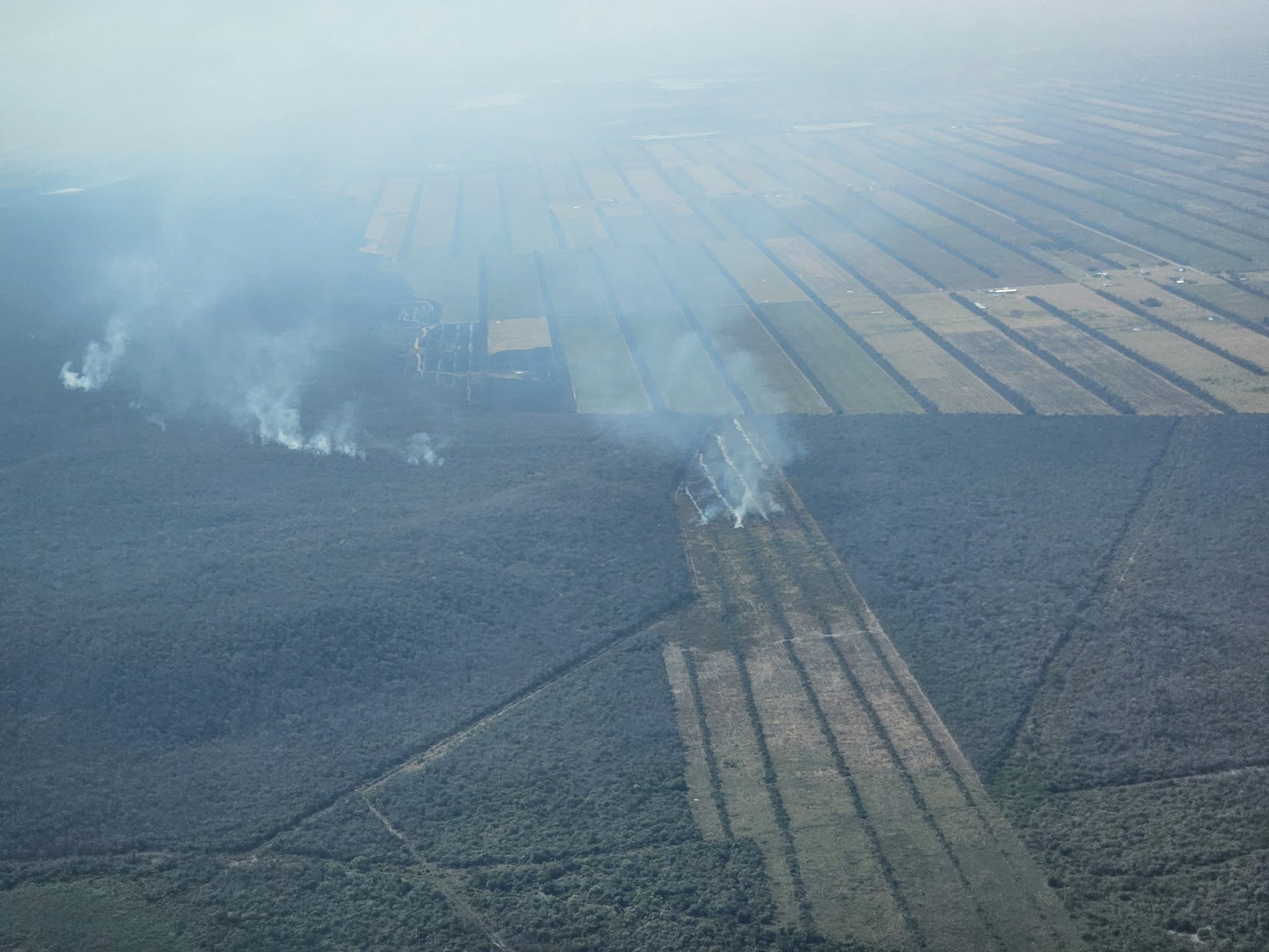 Refuerzan vigilancia forestal tras identificar fuegos activos en San José de Chiquitos