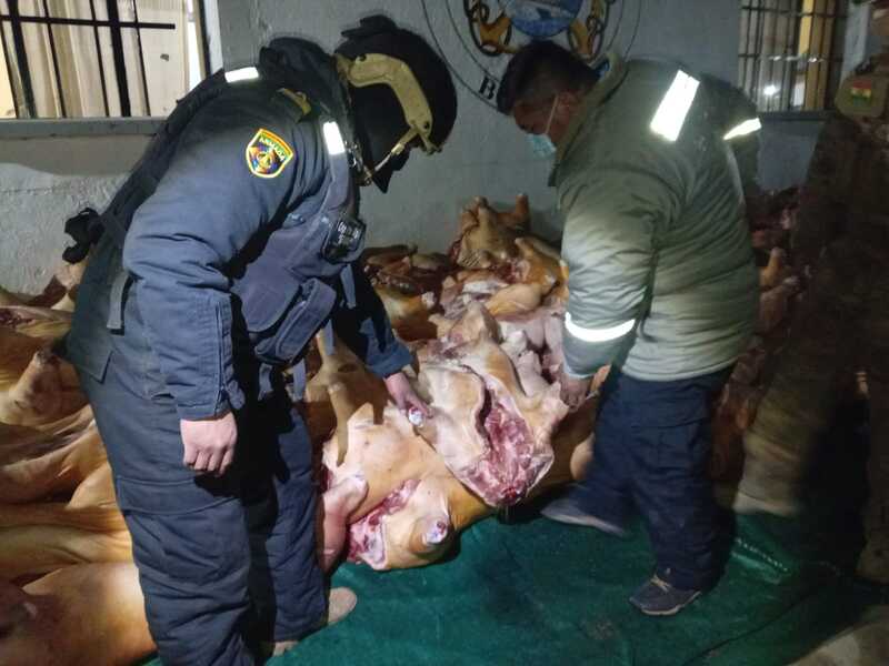 Comisan 14 toneladas de carne de cerdo de contrabando en la frontera con Perú