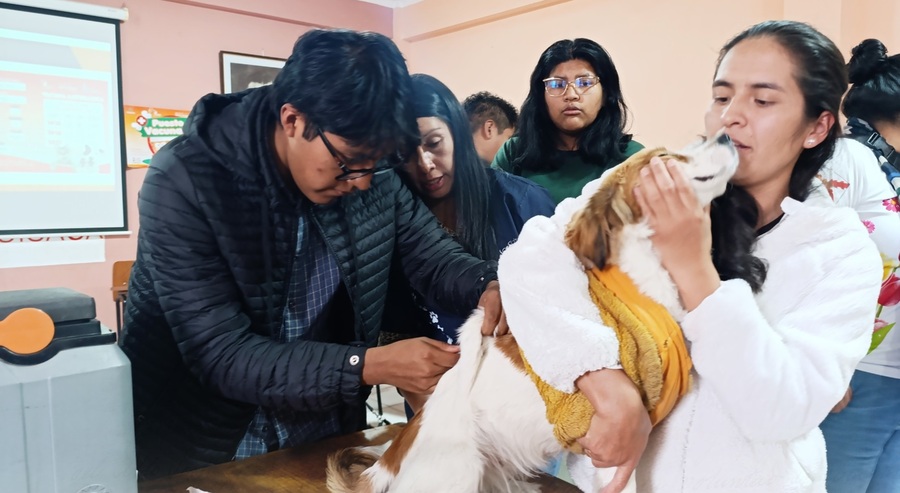 Campaña busca inmunizar contra la rabia a más de 110.000 mascotas en Sucre el fin de semana