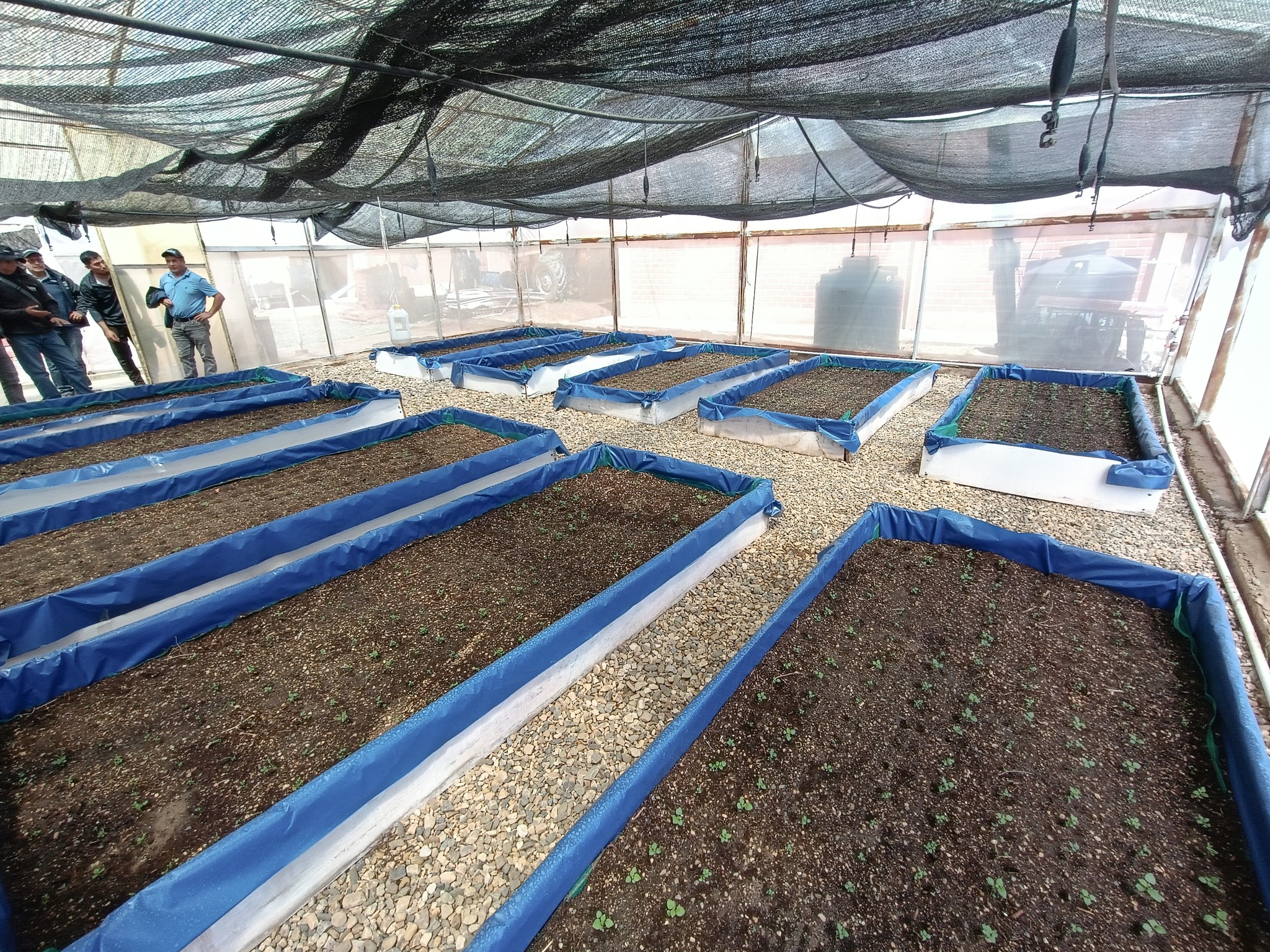 Centro de producción de semilla prebásica de papa fue construida con tecnología de Corea y está lista para su entrega