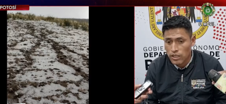 Granizo daña al menos el 90% de cultivos agrícolas de más de 280 familias en 3 municipios de Potosí