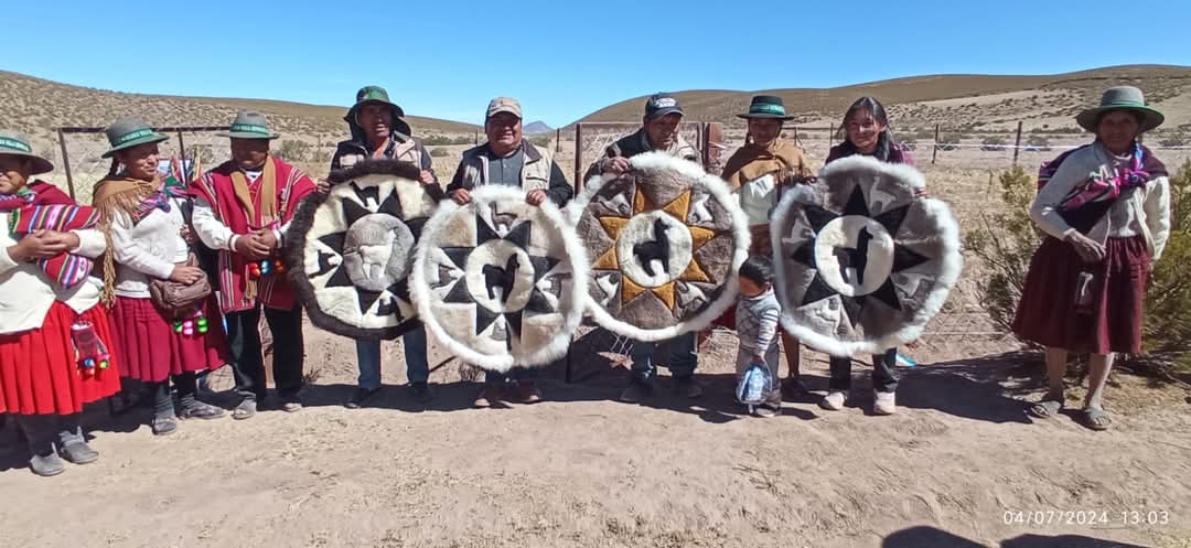 Más de 25 mil familias mejoraron la producción y transformación de fibra y carne de camélidos con proyectos por Bs 170 millones