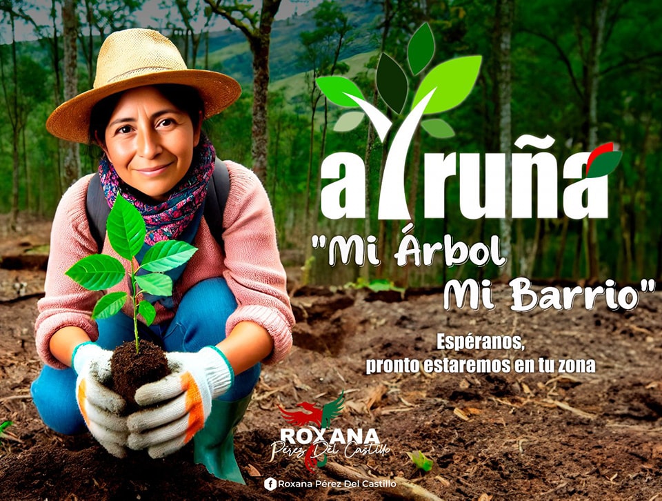 Arborización en la ciudad de La Paz con participación activa del vecino, empieza campaña “Ayruña: mi árbol, mi barrio”