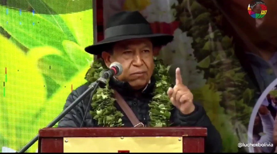 Vicepresidente destaca avances para la desclasificación de la hoja de coca