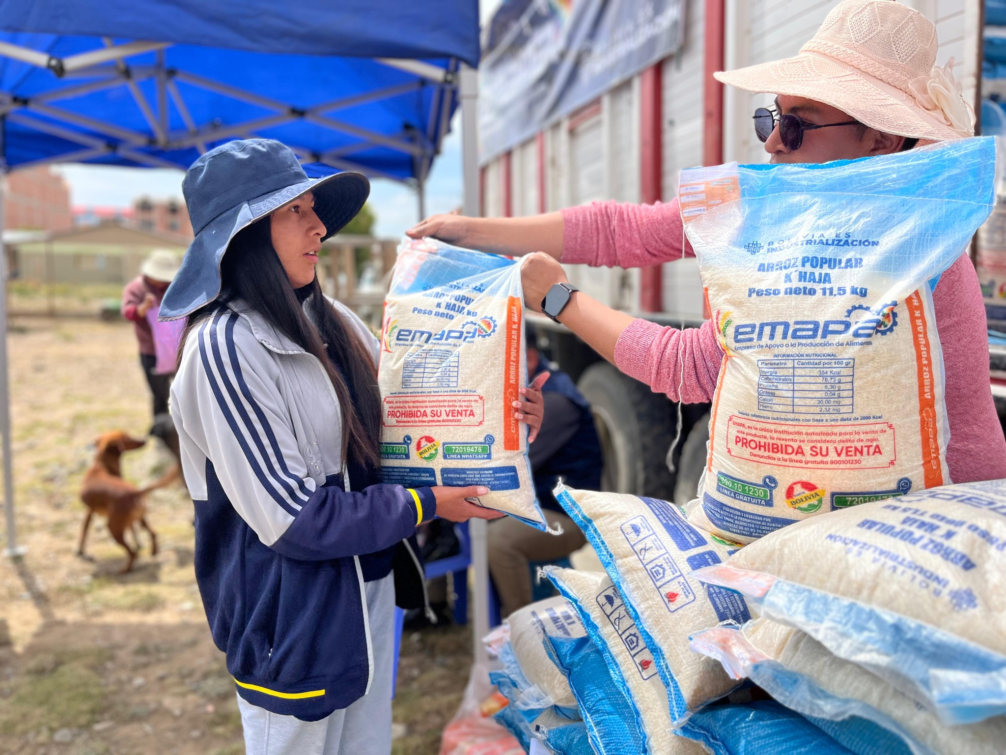 Emapa mantiene a Bs 50,50 la arroba de arroz “k'haja” y oferta a Bs 70 el “grano de oro”