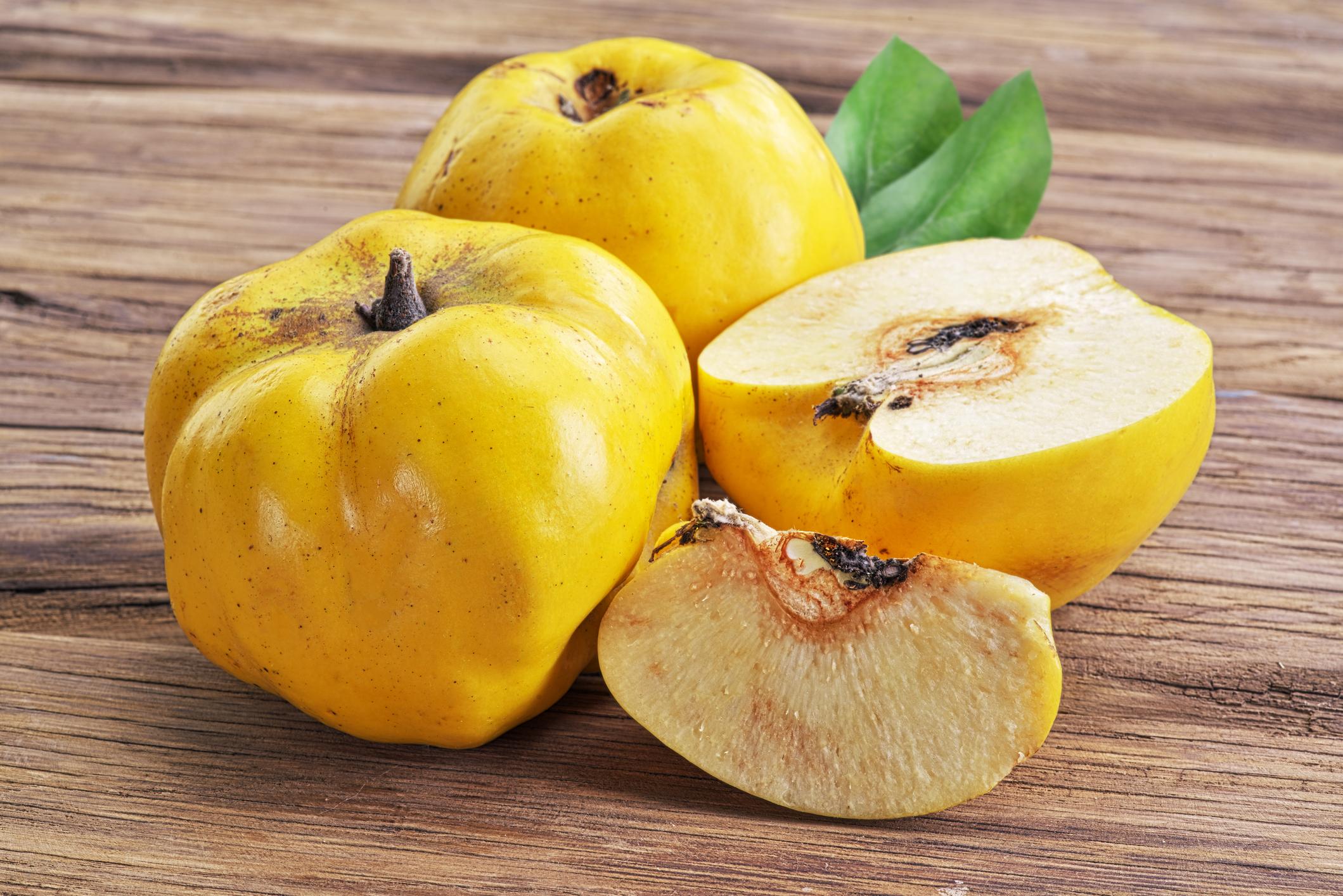 Construcción de la Planta Procesadora de Membrillo en Tarija llega al 90% de avance