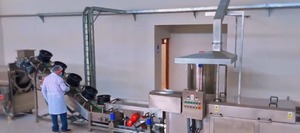 En Pando concluye la construcción de la planta procesadora de plátano con miras a una comercialización nacional