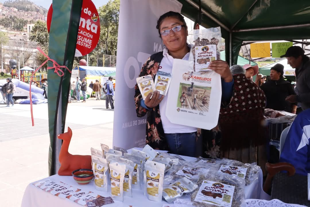 Challapata y Cruz de Machacamarca contarán con 2 procesadoras de charque de llama