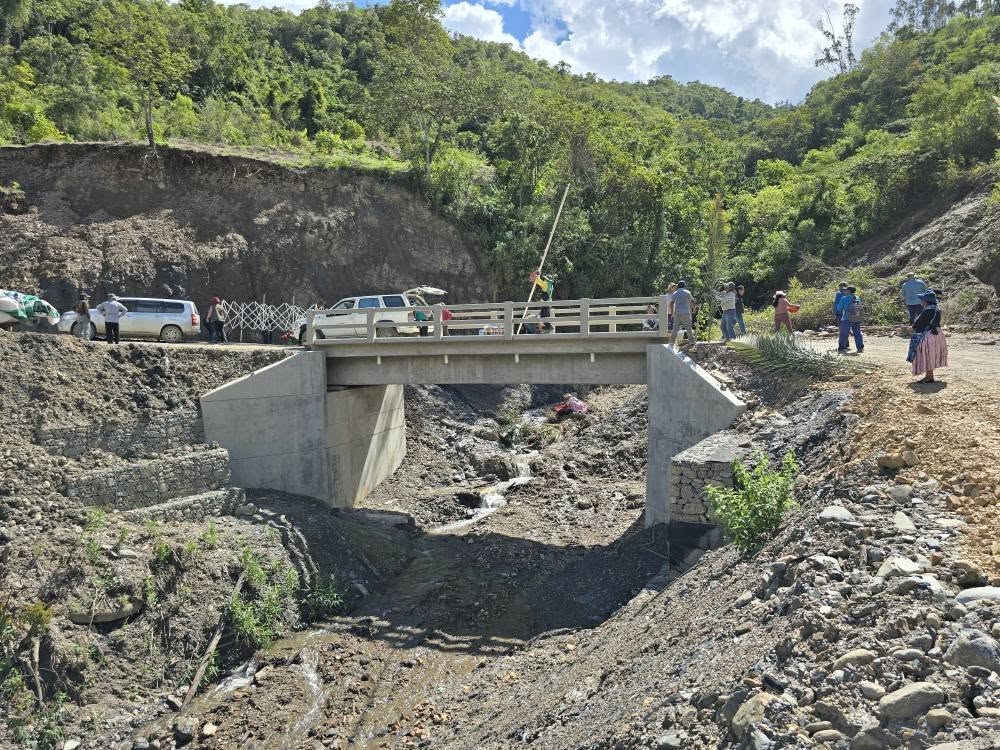 Puente vehicular "Bella Vista" en Licoma, La Paz. Foto: Fonadin